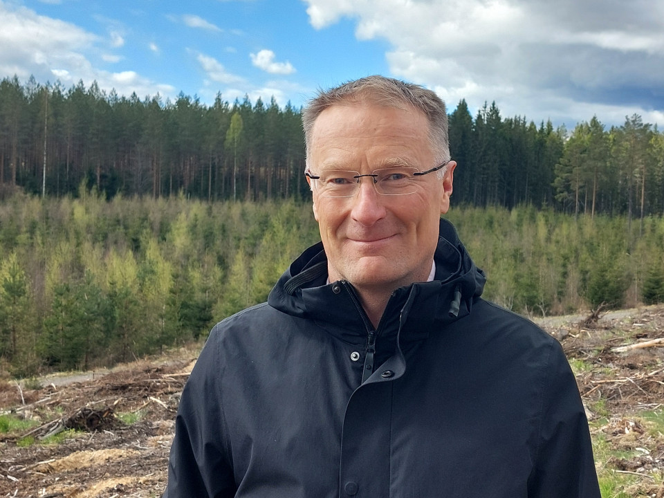 Ennallistamisen talousvaikutukset poikkeuksellisen merkittäviä