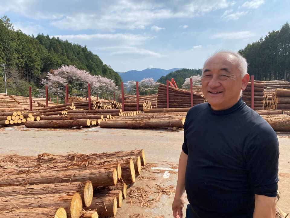 Metsänhoitoa pidetään Japanissa suojelua parempana ilmastotoimena