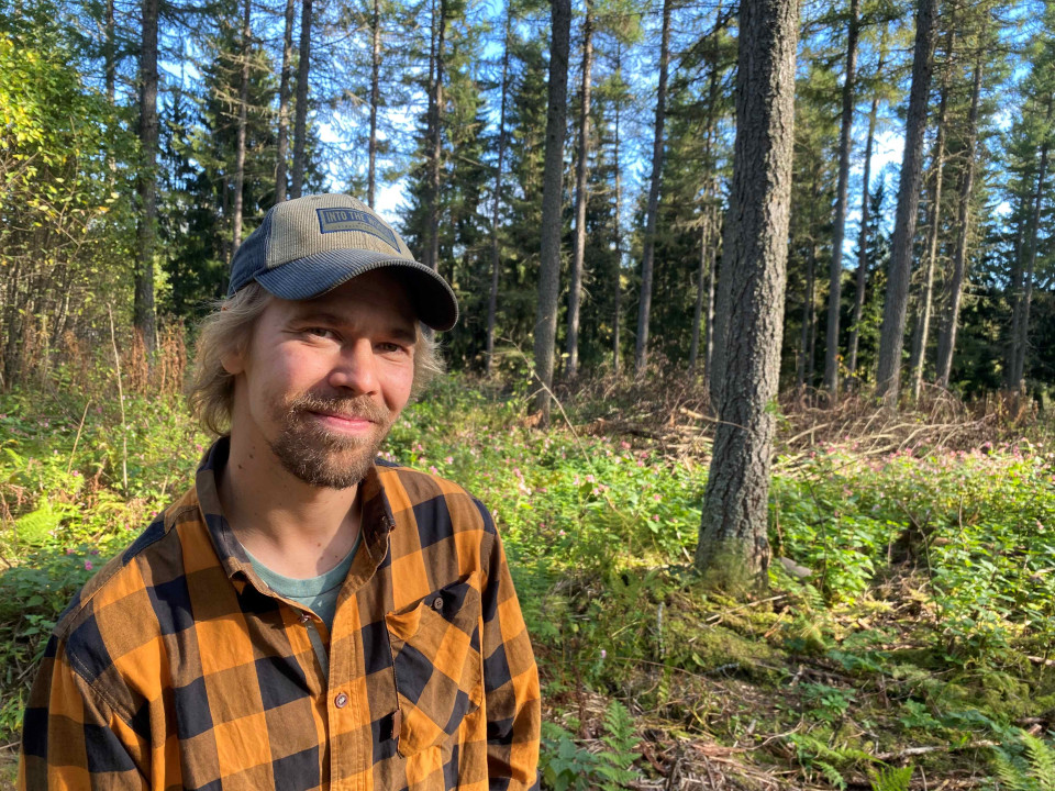 Metsänomistajia ei kuulla riittävästi metsäkeskustelussa