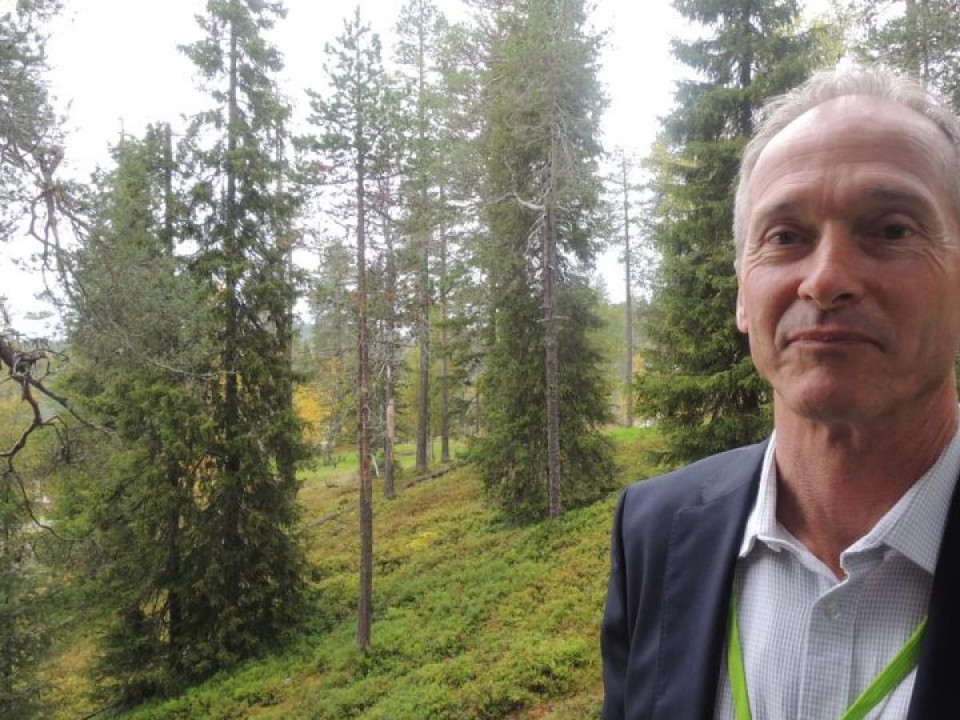 Suomen vähennettävä hakkuita, luovuttava puun energiakäytöstä ja lisättävä puurakentamista
