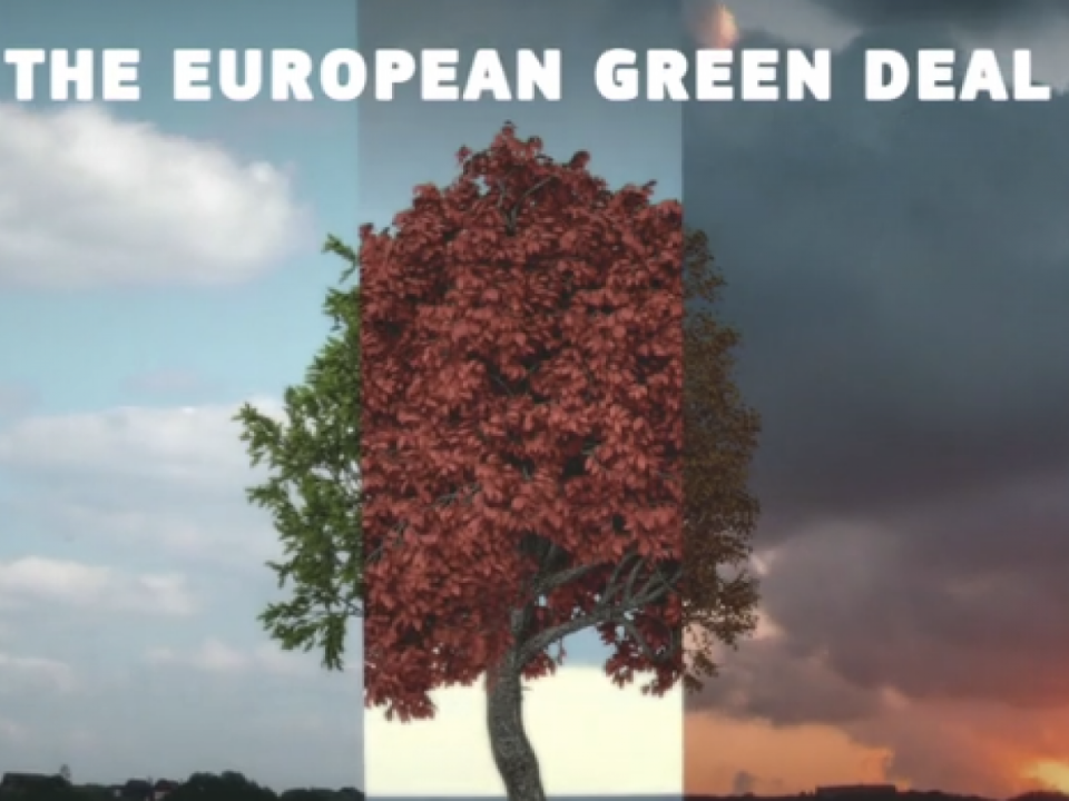 EU:n Green Deal – ohjelman pelätään tuovan lisää rajoituksia kestävälle metsän käytölle – suomalaismepit haluavat metsästrategian itsenäiseksi osaksi Vihreän kehityksen ohjelmaa